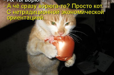 Коту не верь, ибо он тоже зверь!