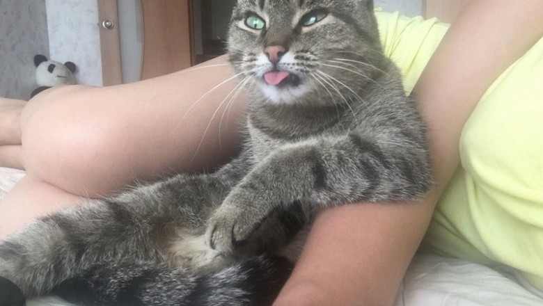 Вас точно позабавит !