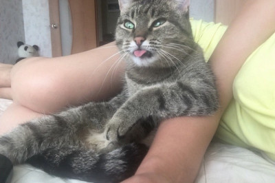 Вас точно позабавит !