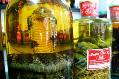 Необычное вино 