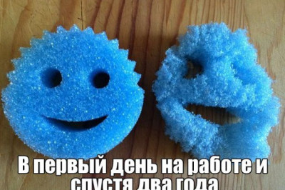 Трудовые будни в офисе 