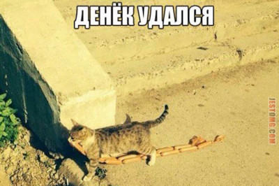 Денек прошел успешно 