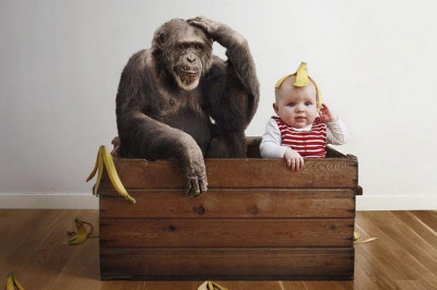 Измена плюшевого медвежонка