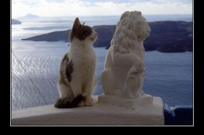 Очередной заказчик остался доволен 