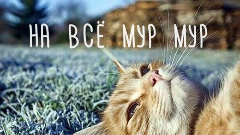 Просто картинки  для настроения