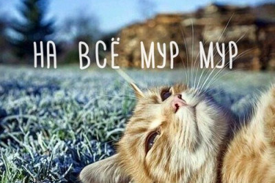 Просто картинки  для настроения