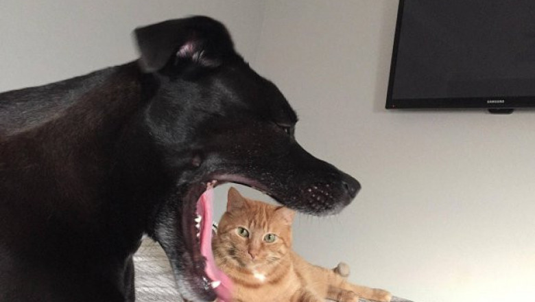 С первого раза показалось 