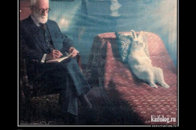 Без алкоголя было бы скучно 