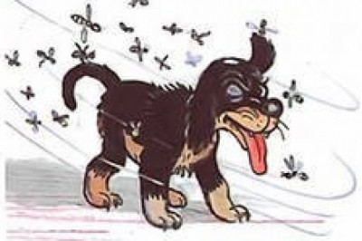 Маленький охотник