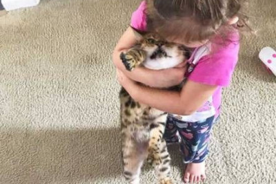 Встреча с питомцами после долгой разлуки 