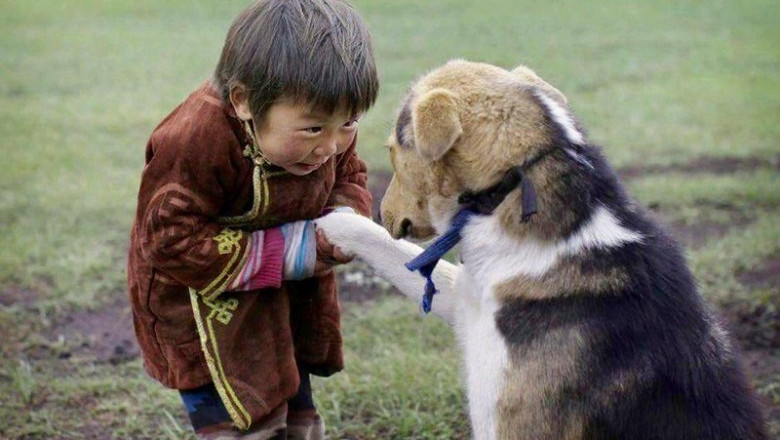 Море позитива 