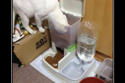 Бери от жизни все 