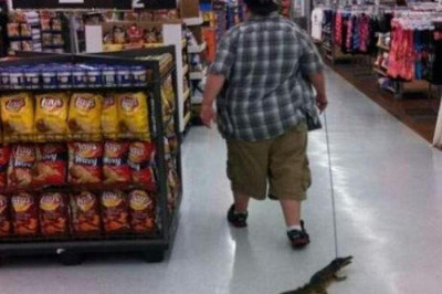 Посетители с домашними питомцами в супермаркетах 