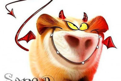 Семьдесят процентов хитрости лисиц приходится на тупость кур