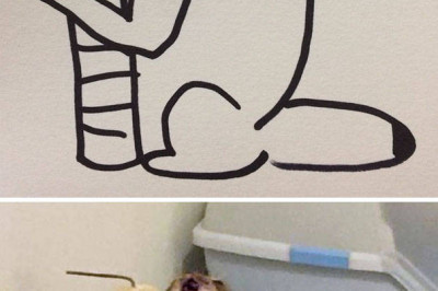 Забавные рисунки котов 