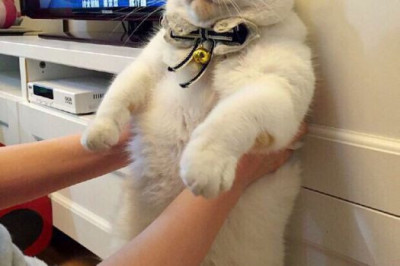 Когда тебя заставляют что-то делать , а ты не хочешь ...