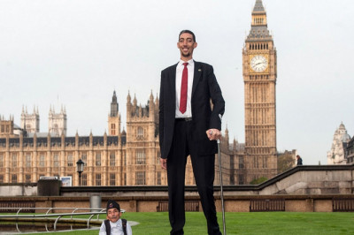 Плюсы и минусы Гулливера