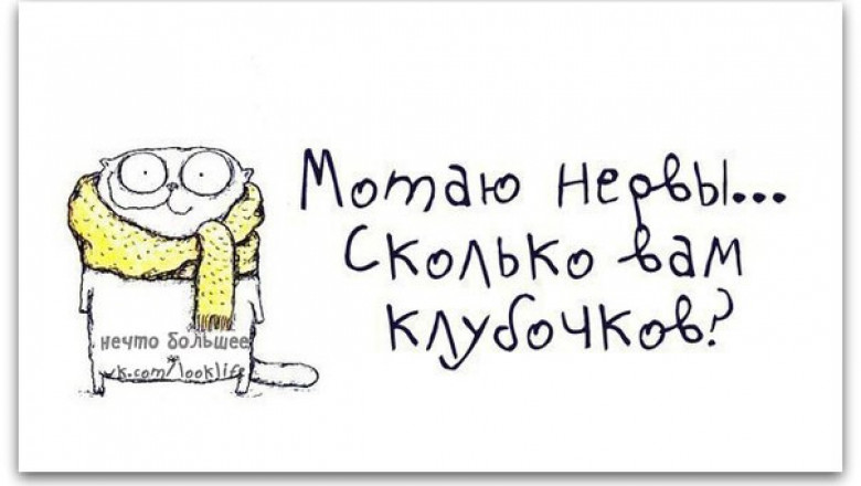 Умные мысли приходят тогда , когда глупости уже сделаны 