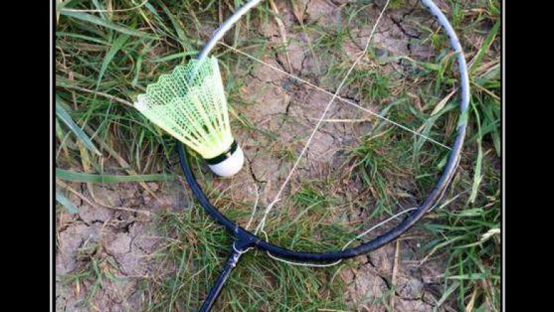 Бадминтон для профессионалов 