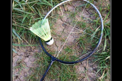 Бадминтон для профессионалов 