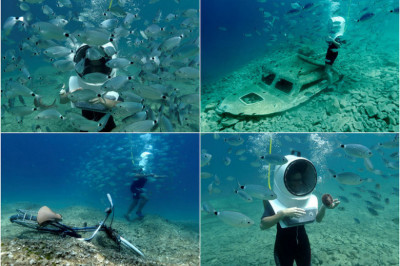 Подводный парк 