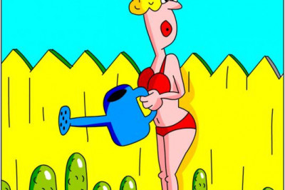 Собираем урожай на дачном участке