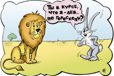 Встреча с царем зверей сулит море экстрима