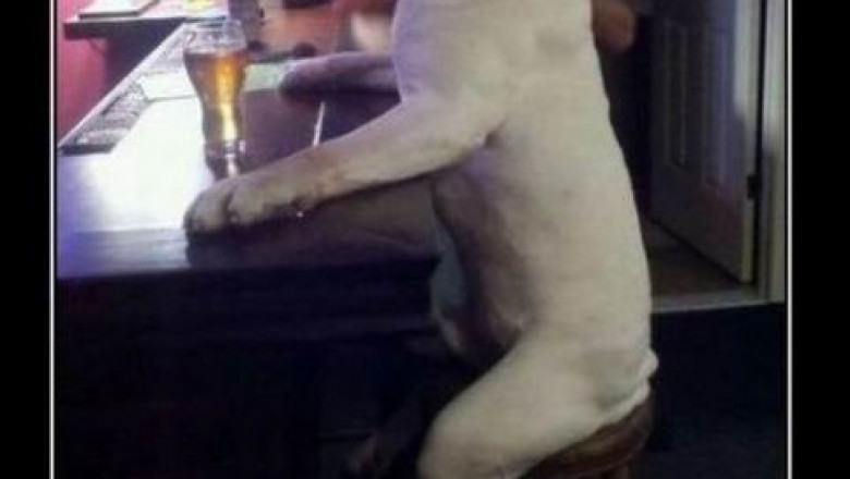 Демотиваторы для позитива 