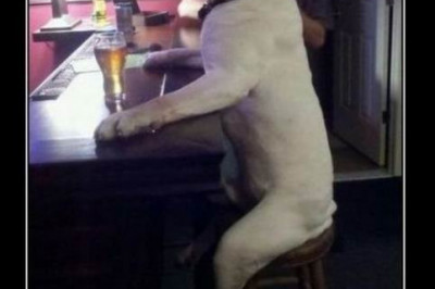 Демотиваторы для позитива 