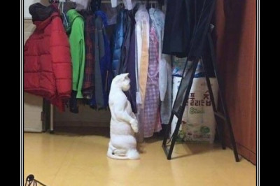 Кто на свете всех милее 