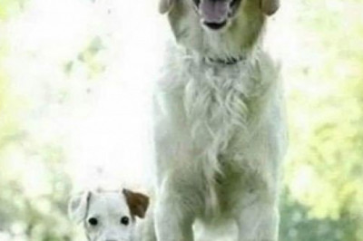 Одноглазый психолог начинает свой сеанс со слов: «Мне бы ваши проблемы»