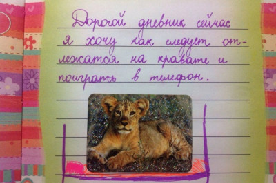 Фразы из девичьих дневников 