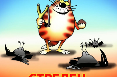 Говорите, от кота пользы никакой нет