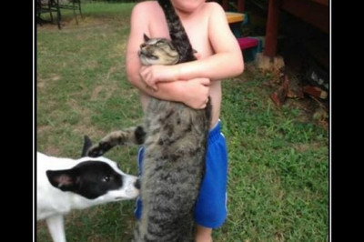 Признавайся Барсик ты скучал 