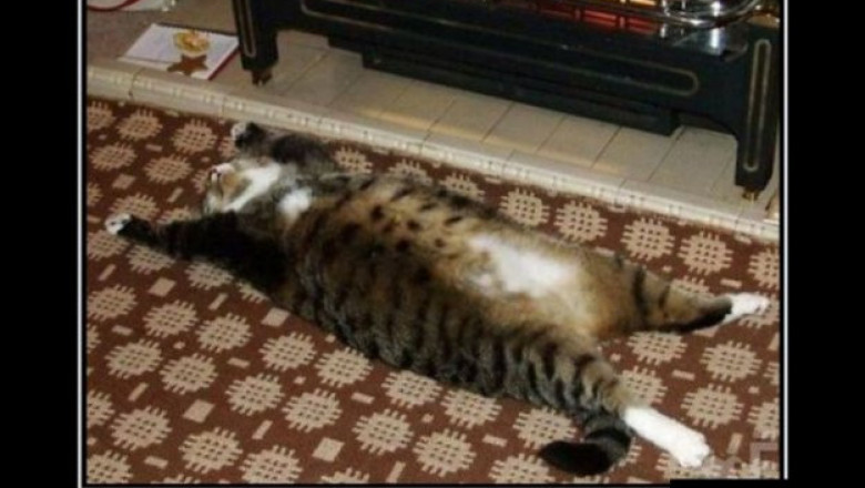 Утром после пятницы 