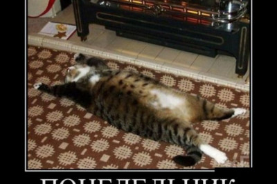 Утром после пятницы 