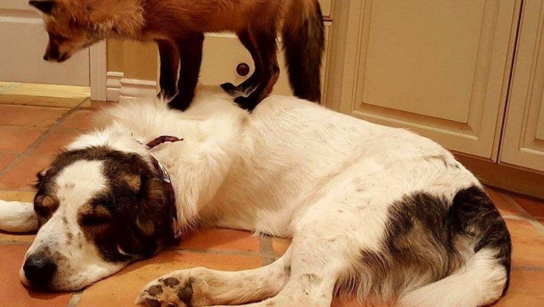 Воскресного всем позитива !