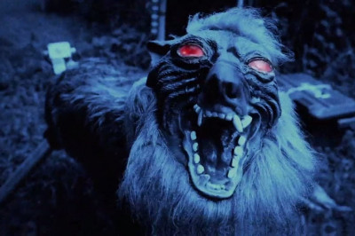 Японские нанотехнологии 