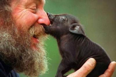 Храните в себе доброту !