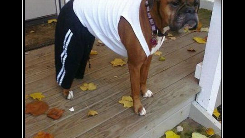 Серьезного пацана сразу видно 