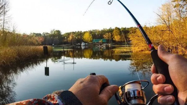 Совет от рыбака 