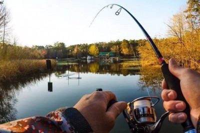 Совет от рыбака 