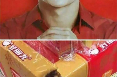 Ох , уж эти дизайнеры !