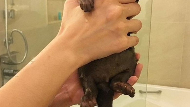 Загляните посмотреть !