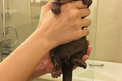 Загляните посмотреть !