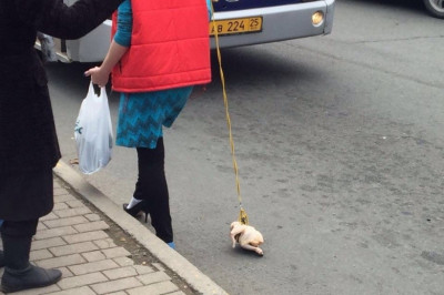 Чудаки в городе 