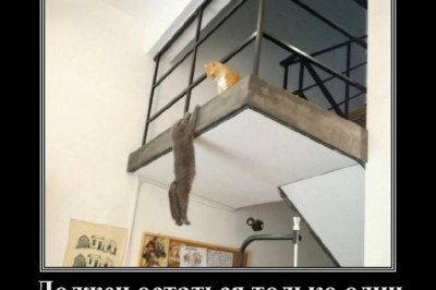 Должен остаться только один 