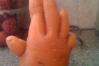 Морковь на дачном участке 