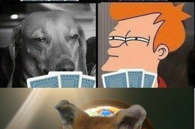 ПАРОЧКА ВЕСЕЛЫХ МОМЕНТОВ ИЗ ЖИЗНИ ОБОРОТНЕЙ