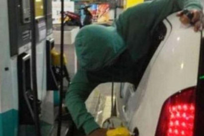 Самые ленивые из ленивых